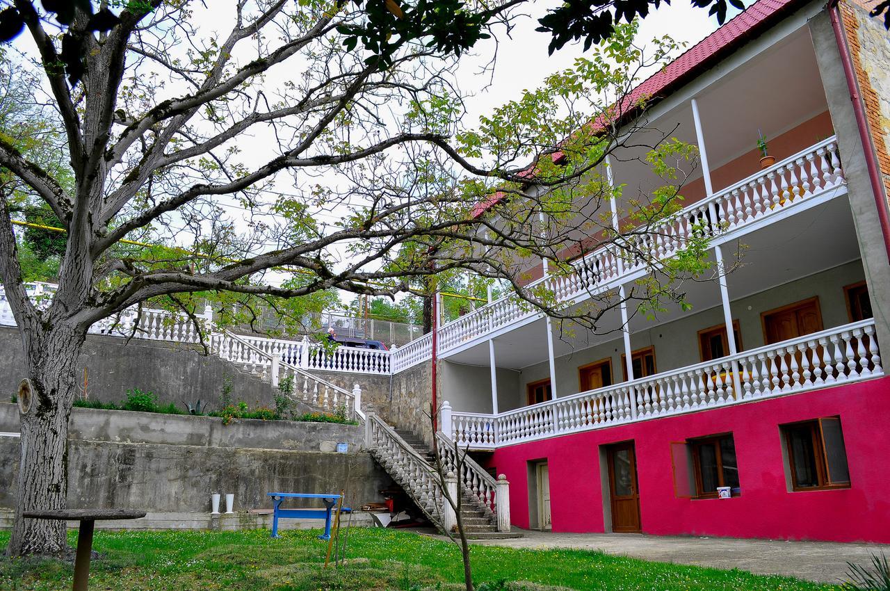 Sofia Guest House Koutaïssi Extérieur photo