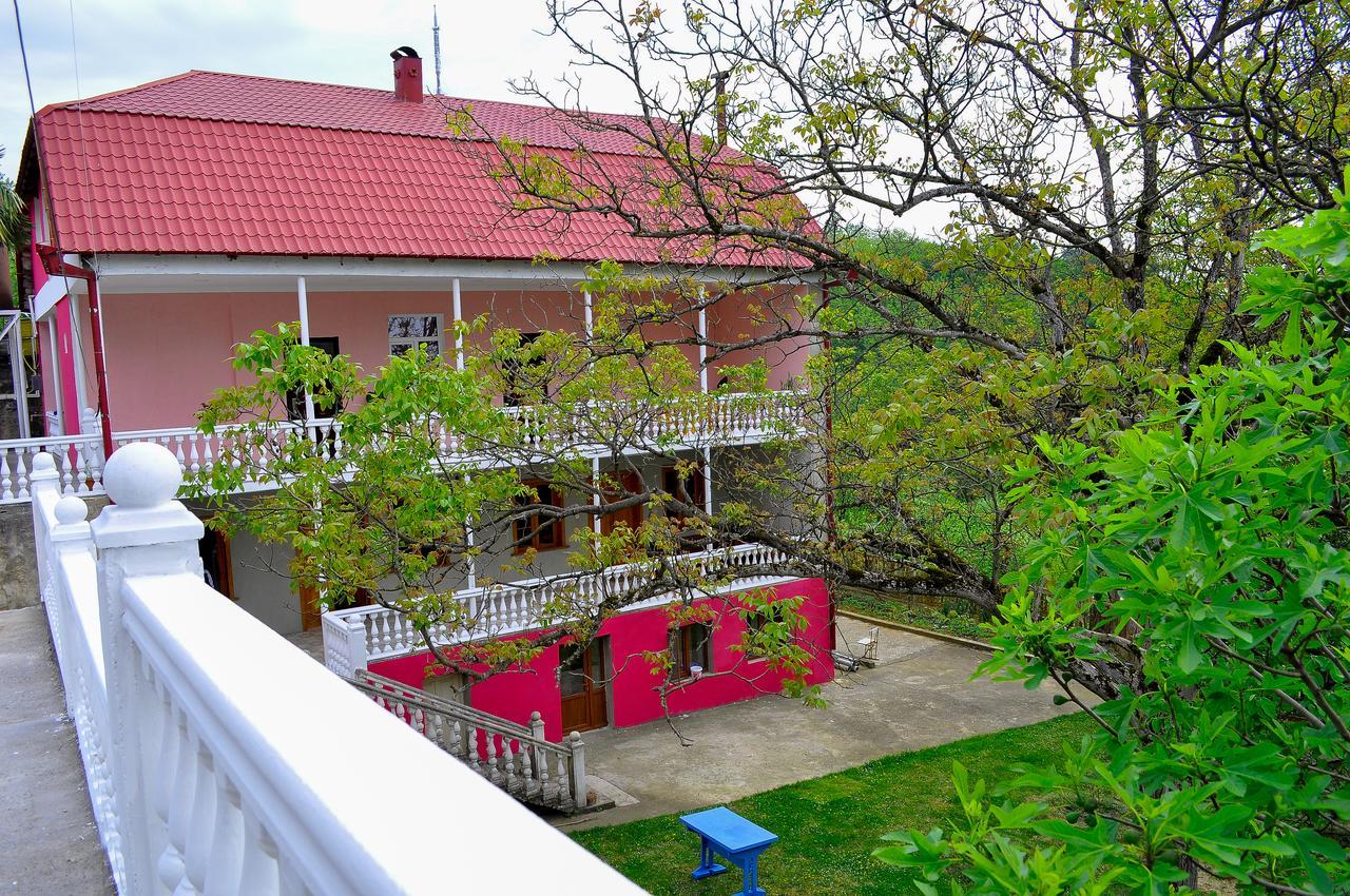 Sofia Guest House Koutaïssi Extérieur photo