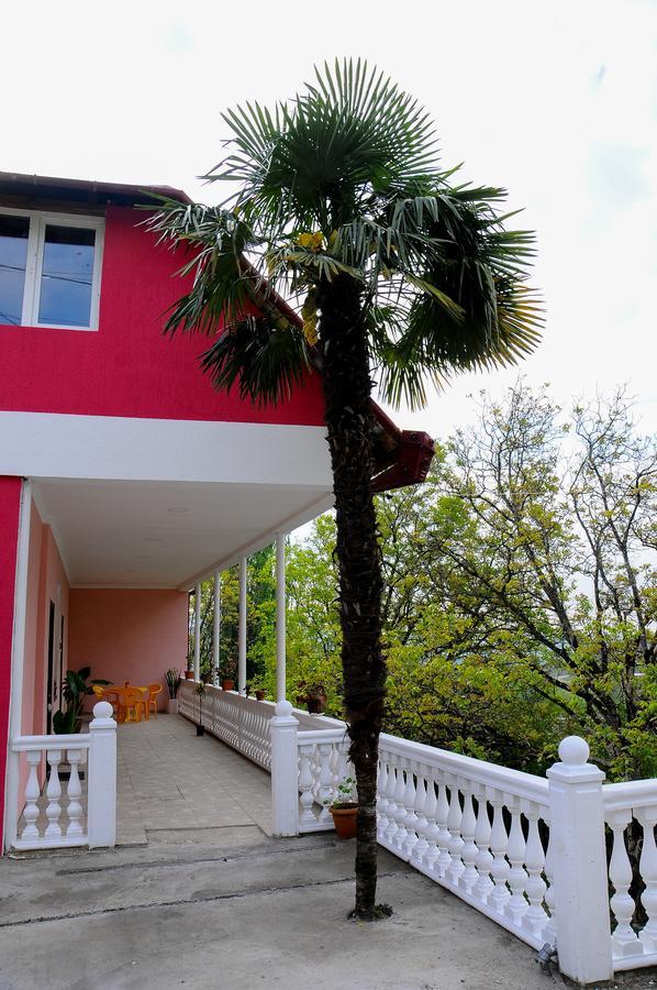 Sofia Guest House Koutaïssi Extérieur photo