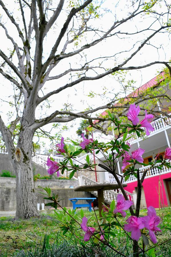 Sofia Guest House Koutaïssi Extérieur photo